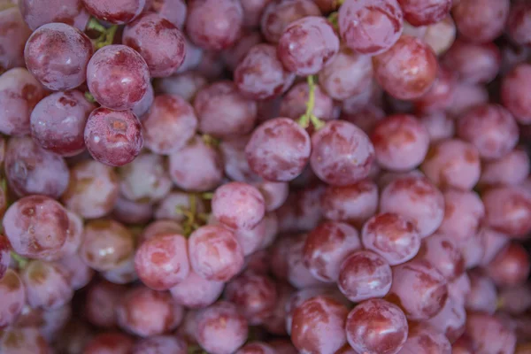 Rosa grape frukt — Stockfoto