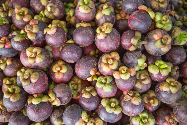 Mangosteenfrukt, frisk – stockfoto