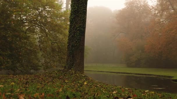 Herfst mistige ochtend op het meer in kasteel Schwerin park — Stockvideo