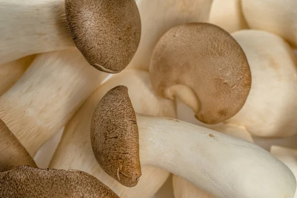 Haufen Frischer Roher Minikönige Königliche Austernpilze Als Hintergrund — Stockfoto