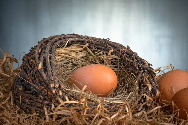 Fresh Chicken Eggs Nest Dark Background — Stock Photo, Image