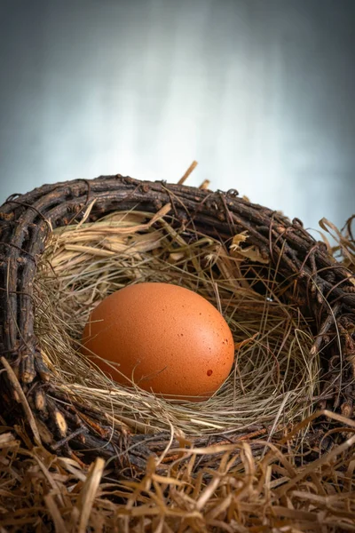 Huevos Pollo Frescos Nido Sobre Fondo Oscuro —  Fotos de Stock