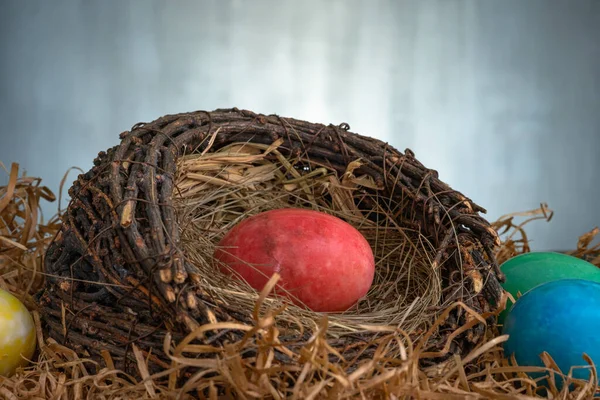 Koyu Bir Arka Plandaki Yuvada Renkli Haşlanmış Yumurta — Stok fotoğraf