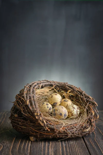 Little Fresh Quaileggs Nest Dark Background — Stock Photo, Image