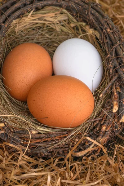 Huevos Pollo Frescos Nido Sobre Fondo Oscuro —  Fotos de Stock