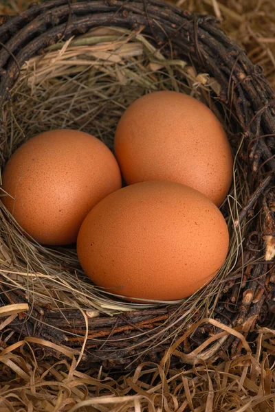 Huevos Pollo Frescos Nido Sobre Fondo Oscuro —  Fotos de Stock