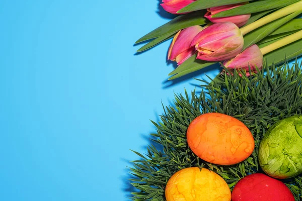 Kokt Kyckling Målade Ägg Och Tulpaner Grönt Gräs Blå Bakgrund — Stockfoto