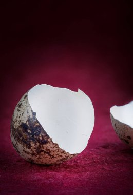 Kırık bıldırcın yumurtaları Kırmızı bir arka planda bir yuvada.