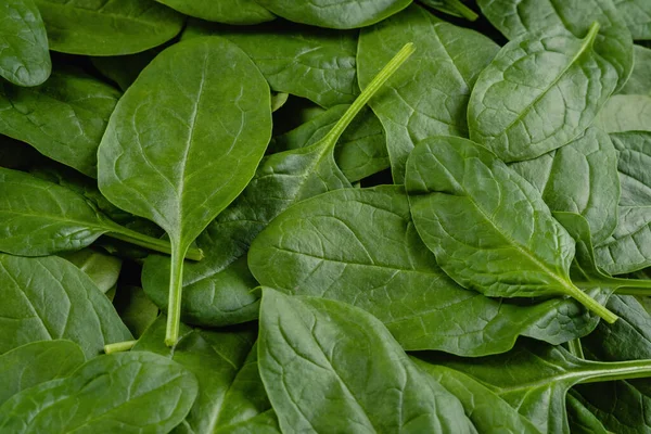 Top View Fresh Organic Spinach Leaves Healthy Green Food Vegan — Stock Photo, Image