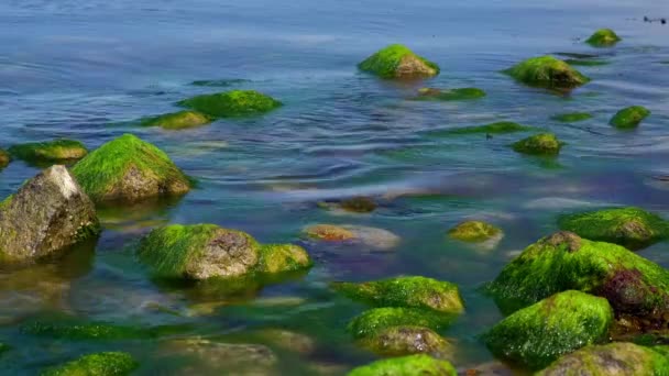 A costa rochosa do Mar Báltico e as ondas batem contra pedras. — Vídeo de Stock