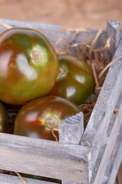 Pomidor kumato — Zdjęcie stockowe