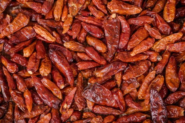 Pepper  chili — Stock Photo, Image