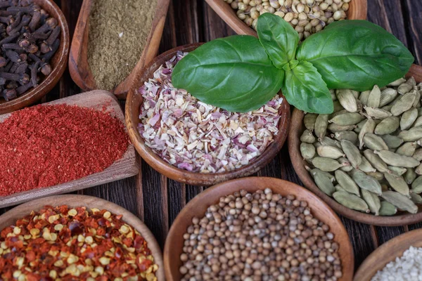 Different  spices — Stock Photo, Image