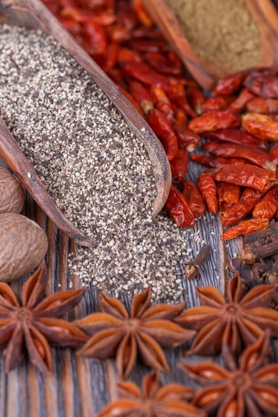 Different  spices — Stock Photo, Image