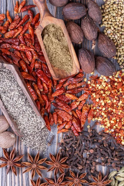 Different  spices — Stock Photo, Image