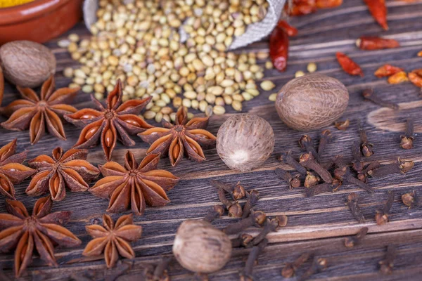 Different  spices — Stock Photo, Image