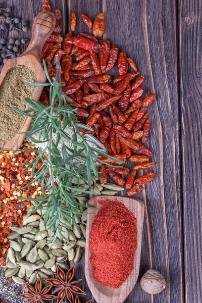 Different  spices — Stock Photo, Image