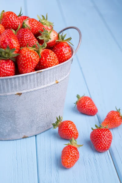 Frische Erdbeere — Stockfoto