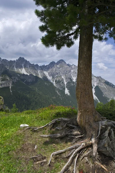 Kalkkogel v Tyrolsku — Stock fotografie