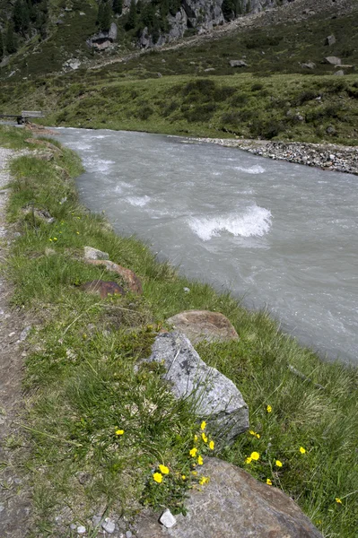 Kleine kreek in het stubaital — Stockfoto