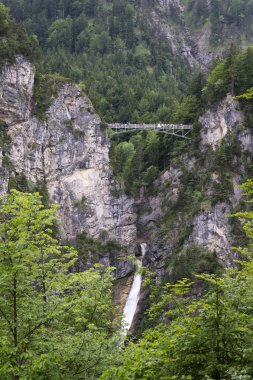 Neuschwanstein köprü