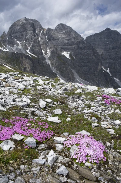 Kalkkogel en tirol —  Fotos de Stock