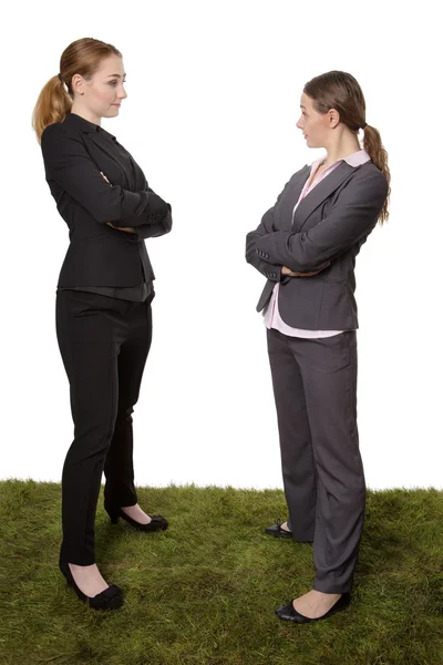 Две бизнес-леди, стоящие на траве — стоковое фото