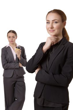 profesyonel iş modeli