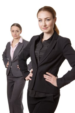 profesyonel iş modeli