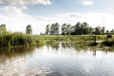 Essex İngiltere'de kırsal