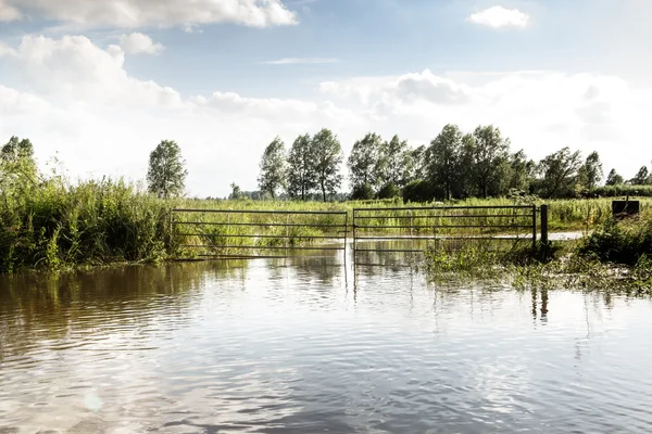 Campo en Essex Reino Unido —  Fotos de Stock