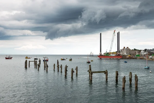 Paesaggio marino in cigno — Foto Stock