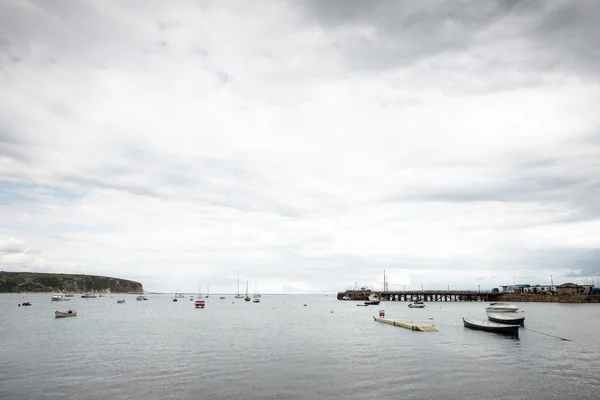 Moře stvol v swanage — Stock fotografie