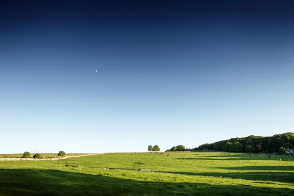 Platteland landschap schot in het Verenigd Koninkrijk — Stockfoto