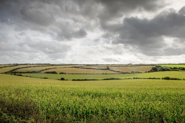 İngiliz kırsal — Stok fotoğraf