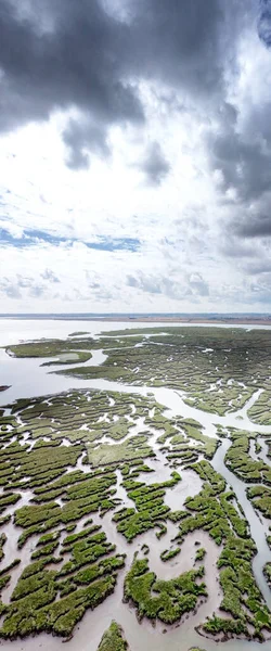 Brei Land Auf Dem Fluss Blackwater Essex England — Stockfoto