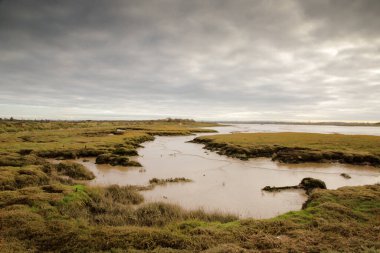 Chelmer nehri kıyısındaki bataklık Essex İngiltere 'sindeki Maldon kasabasına bakıyor. 