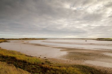 Chelmer nehri kıyısındaki bataklık Essex İngiltere 'sindeki Maldon kasabasına bakıyor. 