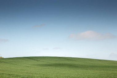 Mavi gökyüzü ve yeşil çiftlik manzarası Essex İngiltere 'sinde soğuk bir şekilde çekildi.