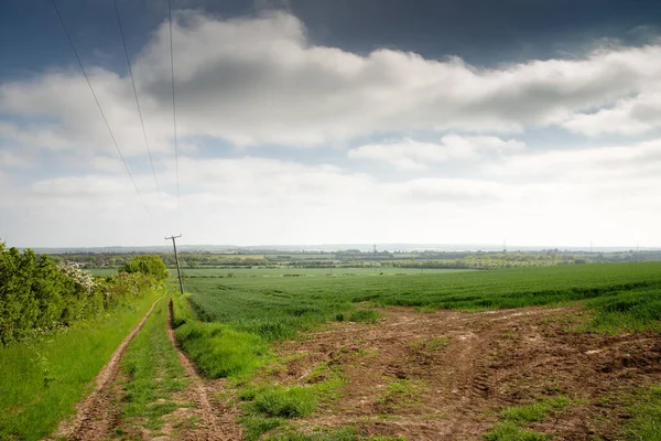 Blue Sky Clound Green Farm Landscape Image Taken Cold Norded — Stock Photo, Image