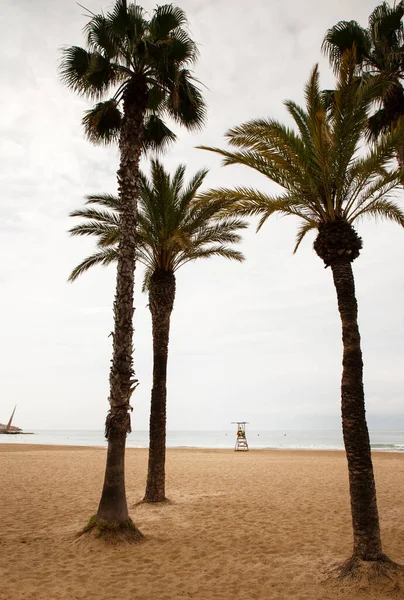 Спасательная Вышка Пляже Салоу Испании Никого — стоковое фото