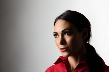 yüksek anahtar portre