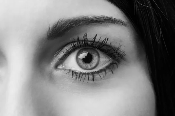 Female eye — Stock Photo, Image