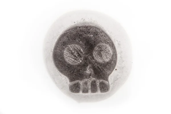 Iced skull — Stock Photo, Image