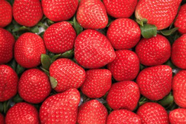 Canlı, yeşil yapraklı, olgun kırmızı çilekler, taze ve doğal bir tatlılık sergiliyor. Yemek fotoğrafçılığı, üretim, sağlıklı atıştırmalıklar, tatlılar ve piyasa görüntüleri için mükemmel..