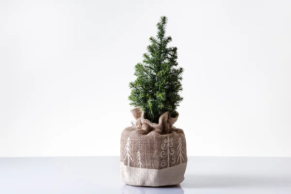 Mini albero di Natale — Foto Stock