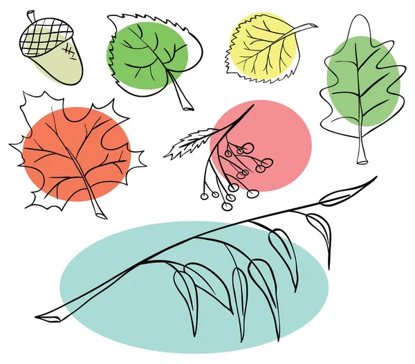 Векторна колекція різноманітних листя і рослин — стоковий вектор