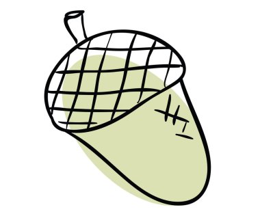 Meşe palamudu beyaz bir sırtta