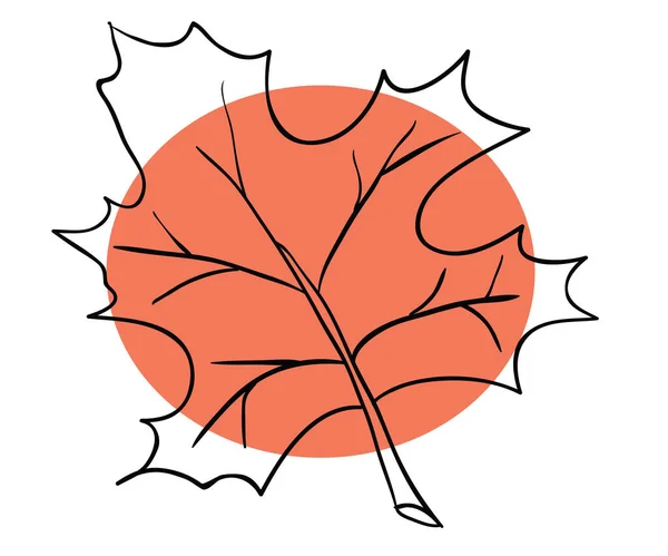 Rotes Ahornblatt auf weißem Grund — Stockvektor