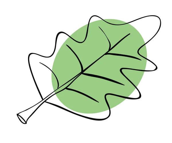 Hoja de roble verde sobre un fondo blanco — Vector de stock